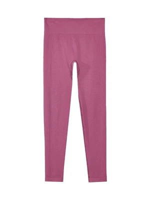 Legginsy 4F