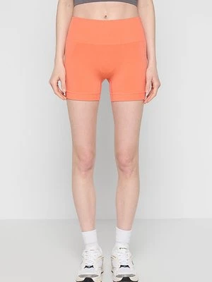 Legginsy Icebreaker