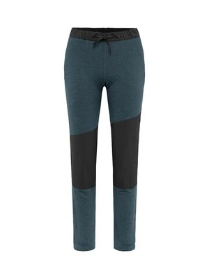Legginsy Klättermusen