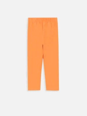 Legginsy krótkie SLIM FIT MOKIDA