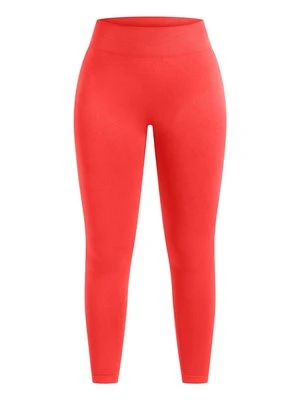 Legginsy Smilodox