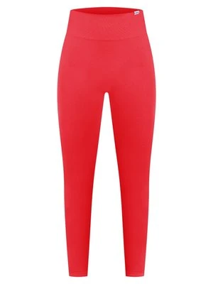 Legginsy Smilodox