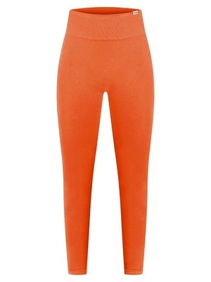 Legginsy Smilodox