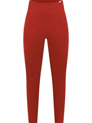 Legginsy Smilodox