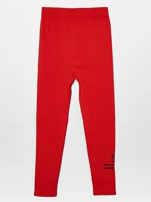 Legginsy THE ANIMALS OBSERVATORY