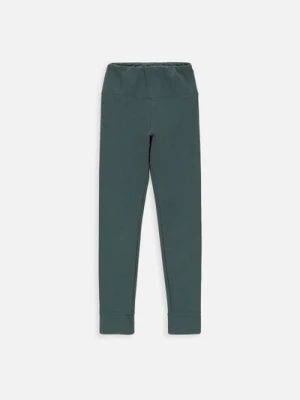 Legginsy z długą nogawką COCCODRILLO