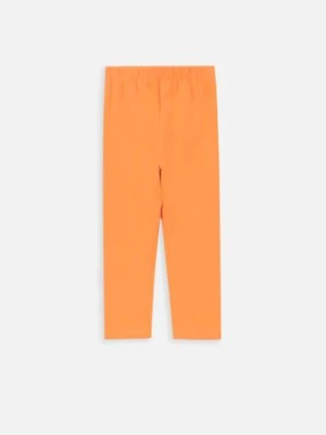 Legginsy z nogawką do kolan SLIM FIT MOKIDA