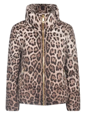 Leopard Print Padded Jacket Aw23 Dolce & Gabbana