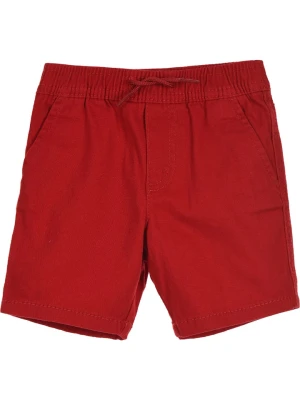 Levi's Kids Szorty chino w kolorze czerwonym rozmiar: 80