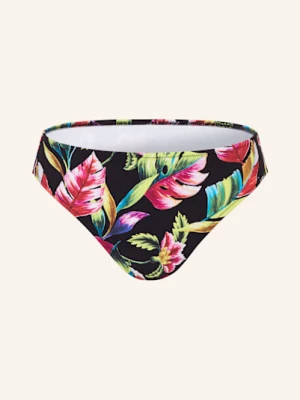 Lidea Dół Od Bikini Basic Exotic Blaze schwarz