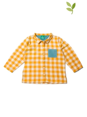 Little Green Radicals Koszula w kolorze kremowo-żółtym rozmiar: 110