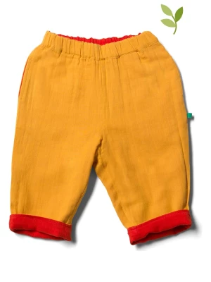 Little Green Radicals Spodnie dwustronne w kolorze musztardowo-czerwonym rozmiar: 62