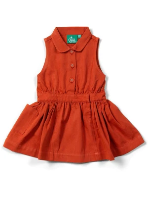 Little Green Radicals Sukienka w kolorze czerwonym rozmiar: 110