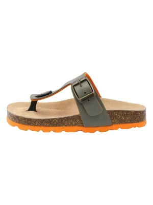 Little Sky Japonki w kolorze khaki rozmiar: 31