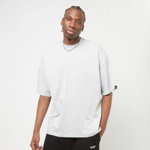 Alpha Industries Logo Back Print Tee mężczyźni T-Shirty i Polo szary rozmiar Odzież