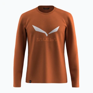 Longsleeve męski Salewa Solidlogo Dry bombay brown