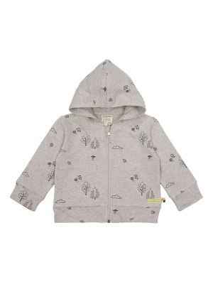 loud + proud Bluza w kolorze szarym rozmiar: 98/104