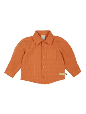 loud + proud Koszula w kolorze pomarańczowym rozmiar: 74/80