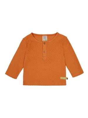 loud + proud Koszulka w kolorze pomarańczowym rozmiar: 86/92