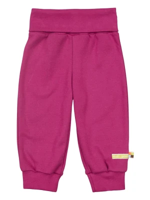 loud + proud Spodnie dresowe w kolorze fioletowym rozmiar: 50/56