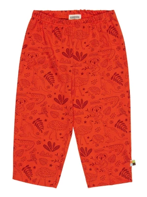 loud + proud Spodnie w kolorze czerwonym rozmiar: 98/104