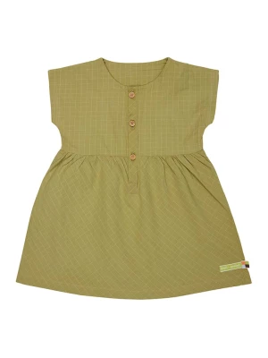 loud + proud Sukienka w kolorze oliwkowym rozmiar: 98/104
