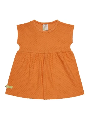 loud + proud Sukienka w kolorze pomarańczowym rozmiar: 122/128