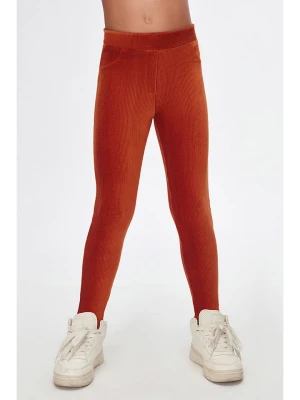 lovetti Legginsy w kolorze pomarańczowym rozmiar: 128