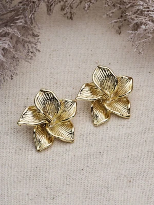 Lucky Bees Kolczyki-wkrętki rozmiar: onesize złoty