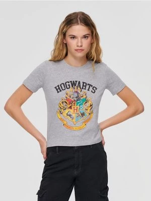 Luźna koszulka Harry Potter szara House