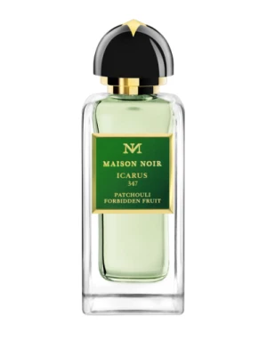 Maison Noir Icarus 347