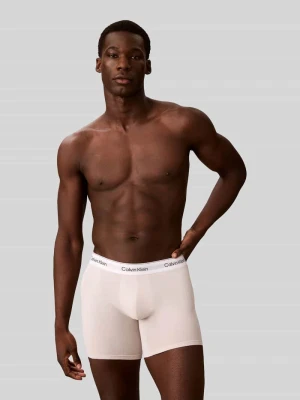 Majtki i obcisłe bokserki z mieszanki bawełny w zestawie 3 szt. Calvin Klein Średnioszary