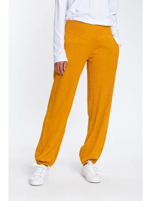 Makani Spodnie w kolorze żółtym rozmiar: 36