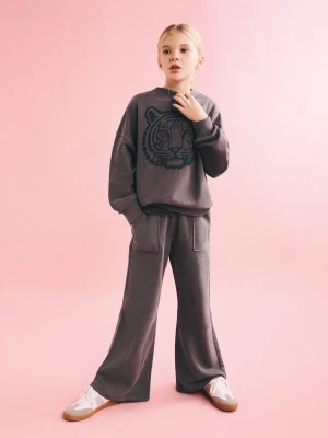 Bluza z tygrysem czekoladowy - Dzieci - lata - MANGO KIDS