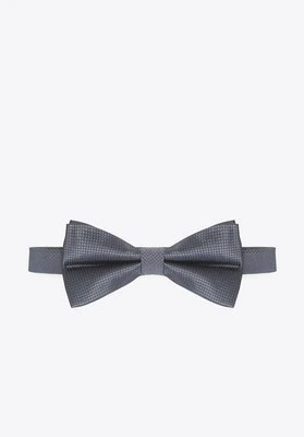 Męska mucha z jedwabiu Wittchen