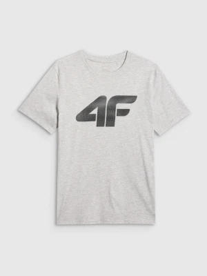 Męski t-shirt z nadrukiem 4F 4FRMM00TTSHM3251 - szary