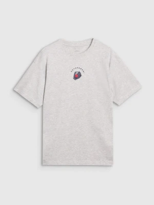 Męski t-shirt z nadrukiem 4F 4FRSS25TTSHM2981 - szary