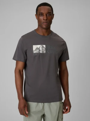 Męski t-shirt z nadrukiem 4F 4FWSS26TTSHM3321 - szary