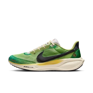 Męskie buty do biegania po asfalcie Nike Pegasus 41 SE - Wielokolorowe