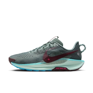 Męskie buty do biegania w terenie Nike Pegasus Trail 5 - Szary