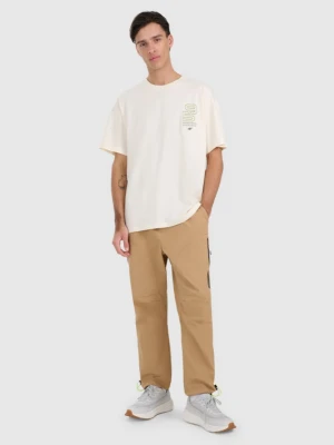 Męskie spodnie casual 4F 4FRAW25TTROM1609 - beżowe