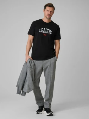 Męskie spodnie dresowe 4F 4FRSS26TTROM1856 - szare