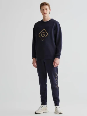 Męskie spodnie dresowe GANT
