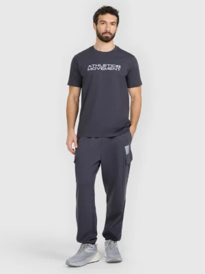 Męskie spodnie dresowe joggery 4F 4FRAW25TTROM1694 - szare