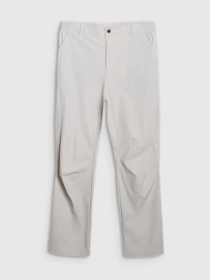 Męskie spodnie trekkingowe 4F 4FWSS25TFTRM0790 - szare