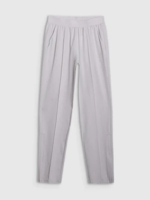 Męskie spodnie treningowe 4F 4FRSS25TFTRM1048 - szare