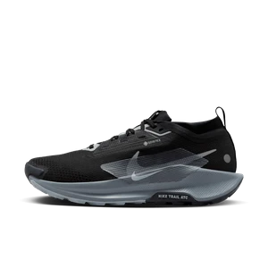 Męskie wodoszczelne buty do biegania w terenie Nike Pegasus Trail 5 GORE-TEX - Czerń