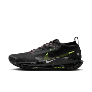 Męskie wodoszczelne buty do biegania w terenie Nike Pegasus Trail 5 GORE-TEX - Czerń