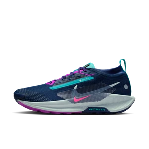 Męskie wodoszczelne buty do biegania w terenie Nike Pegasus Trail 5 GORE-TEX - Niebieski
