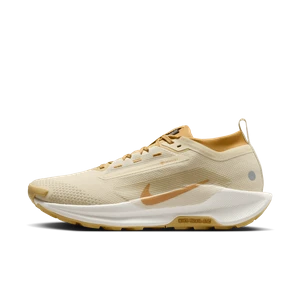 Męskie wodoszczelne buty do biegania w terenie Nike Pegasus Trail 5 GORE-TEX SP - Brązowy